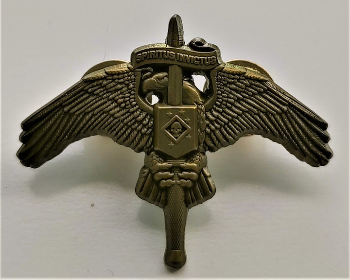 Raider Legacy Lapel - 1.5 "- Multiple Color Options